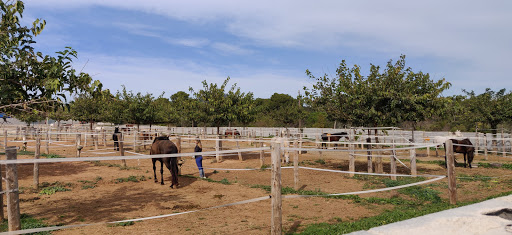 Centre Hípic La Granja