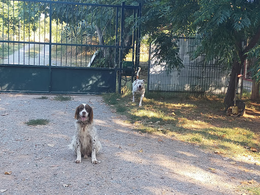 Residència canina Can Franch