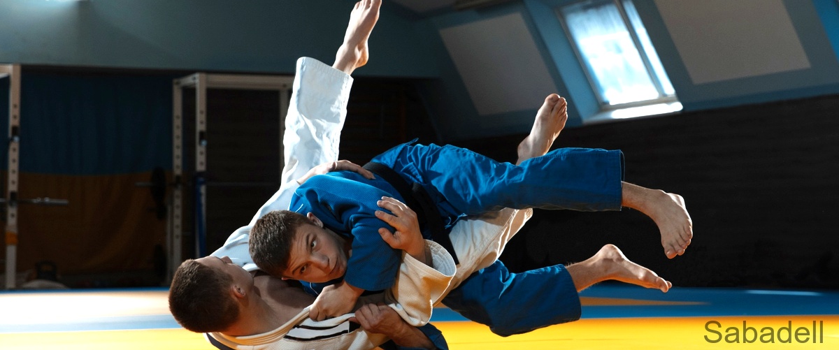 Las 9 mejores escuelas de Taekwondo en Sabadell