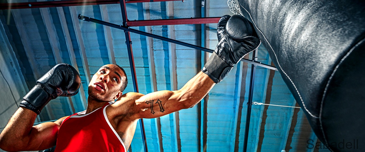 Los 6 mejores gimnasios de MMA en Sabadell