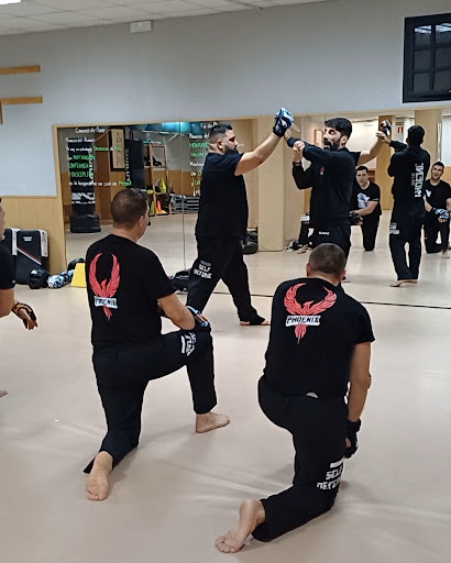 Escuela de Artes Marciales Phoenix Dojo