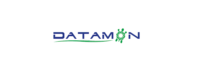 Datamon Consulting S.L.U.
