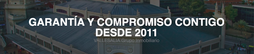 Vallesalia Grupo Inmobiliario